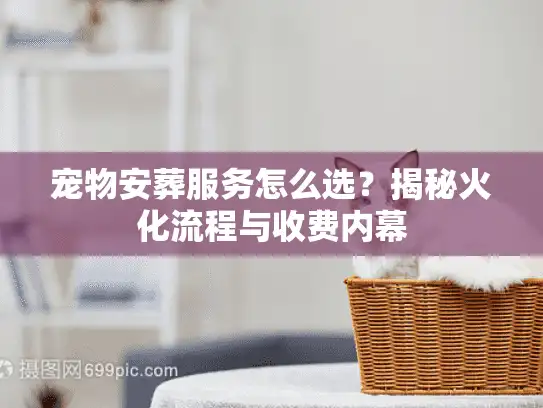 宠物安葬服务怎么选？揭秘火化流程与收费内幕