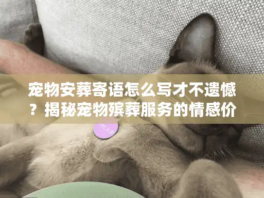 宠物安葬寄语怎么写才不遗憾？揭秘宠物殡葬服务的情感价值