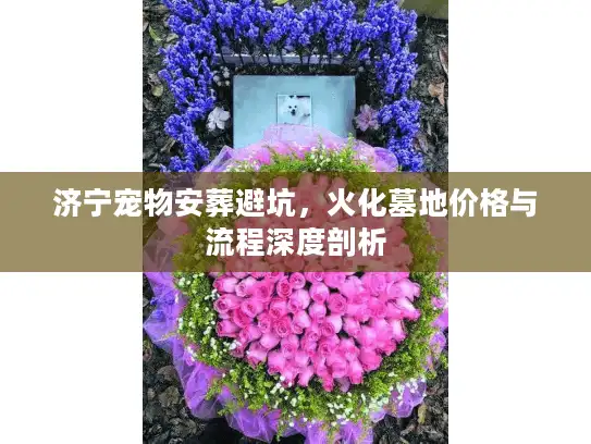 济宁宠物安葬避坑，火化墓地价格与流程深度剖析