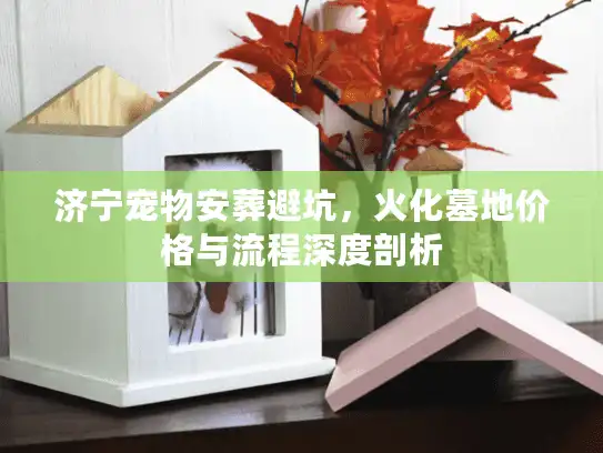 济宁宠物安葬避坑，火化墓地价格与流程深度剖析