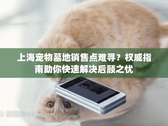 上海宠物墓地销售点难寻？权威指南助你快速解决后顾之忧