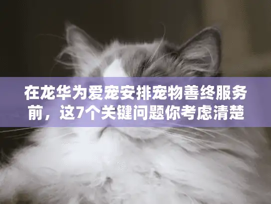在龙华为爱宠安排宠物善终服务前，这7个关键问题你考虑清楚了吗？