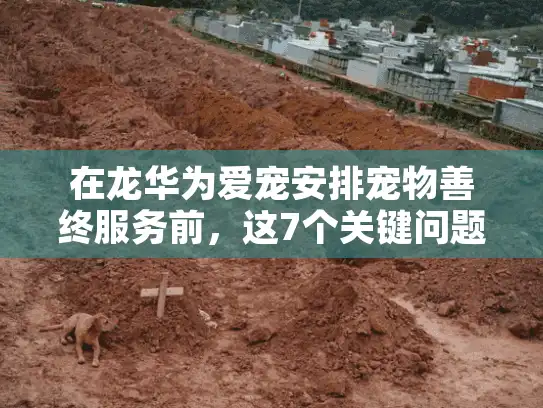 在龙华为爱宠安排宠物善终服务前，这7个关键问题你考虑清楚了吗？
