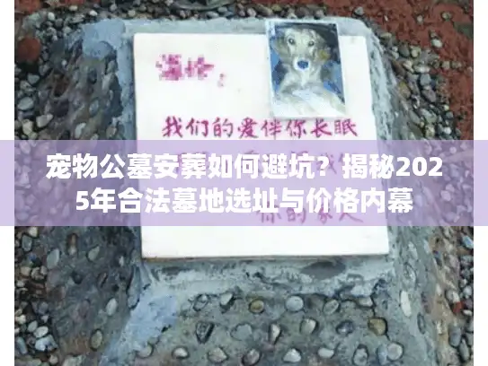 宠物公墓安葬如何避坑？揭秘2025年合法墓地选址与价格内幕