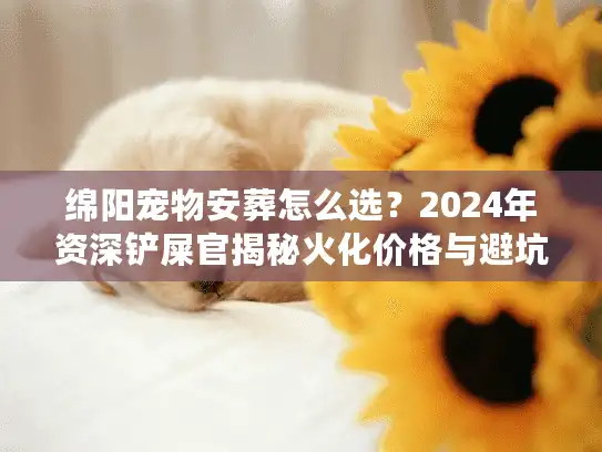 绵阳宠物安葬怎么选？2024年资深铲屎官揭秘火化价格与避坑实况