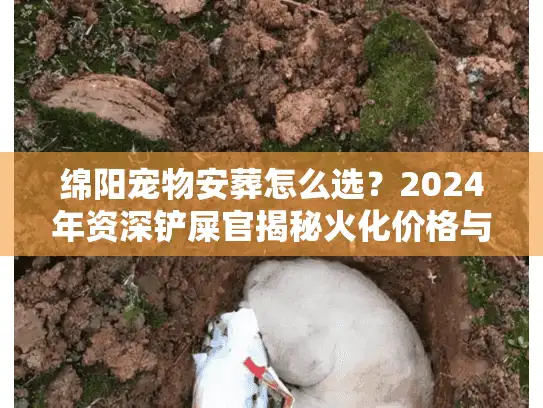 绵阳宠物安葬怎么选？2024年资深铲屎官揭秘火化价格与避坑实况