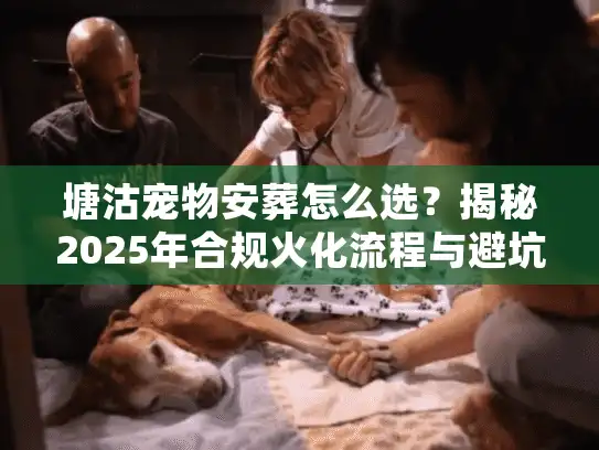 塘沽宠物安葬怎么选？揭秘2025年合规火化流程与避坑细节