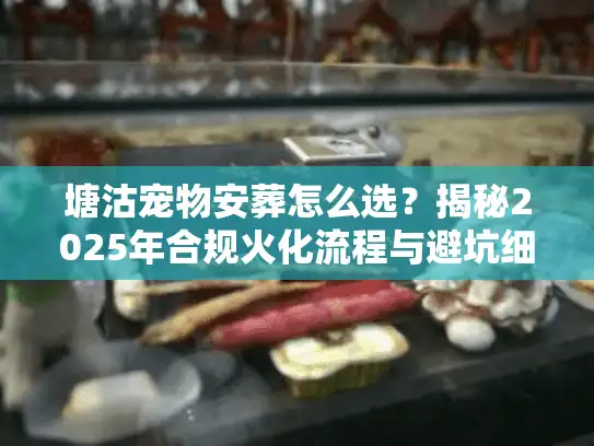 塘沽宠物安葬怎么选？揭秘2025年合规火化流程与避坑细节