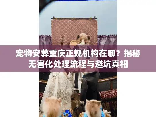 宠物安葬重庆正规机构在哪？揭秘无害化处理流程与避坑真相