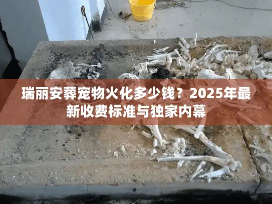 瑞丽安葬宠物火化多少钱？2025年最新收费标准与独家内幕