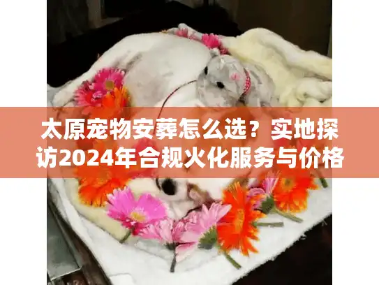 太原宠物安葬怎么选？实地探访2024年合规火化服务与价格内幕