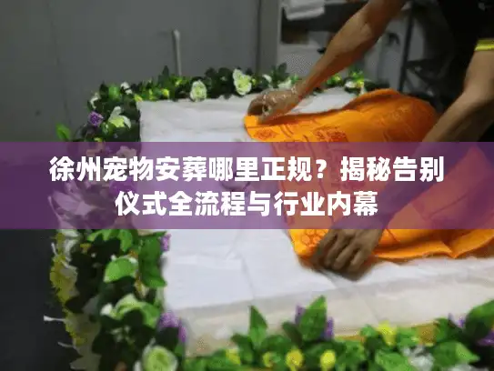 徐州宠物安葬哪里正规？揭秘告别仪式全流程与行业内幕