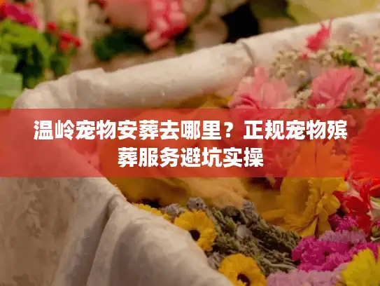 温岭宠物安葬去哪里？正规宠物殡葬服务避坑实操
