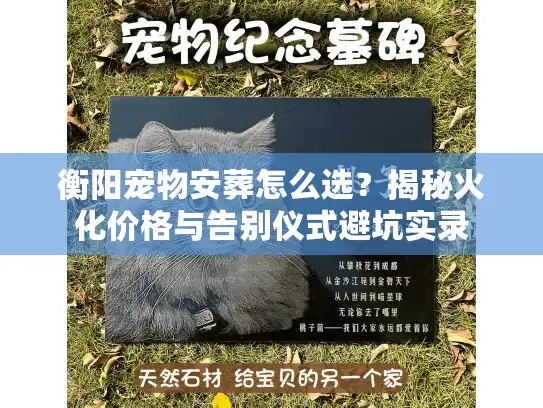 衡阳宠物安葬怎么选？揭秘火化价格与告别仪式避坑实录