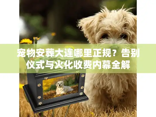 宠物安葬大连哪里正规？告别仪式与火化收费内幕全解