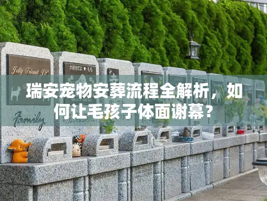 瑞安宠物安葬流程全解析，如何让毛孩子体面谢幕？
