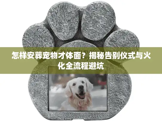怎样安葬宠物才体面？揭秘告别仪式与火化全流程避坑