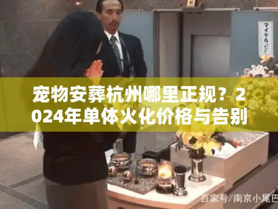 宠物安葬杭州哪里正规？2024年单体火化价格与告别仪式避坑