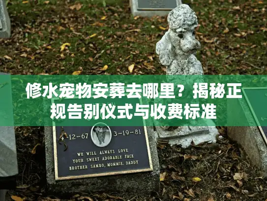 修水宠物安葬去哪里？揭秘正规告别仪式与收费标准