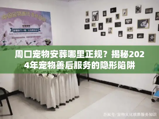 周口宠物安葬哪里正规？揭秘2024年宠物善后服务的隐形陷阱