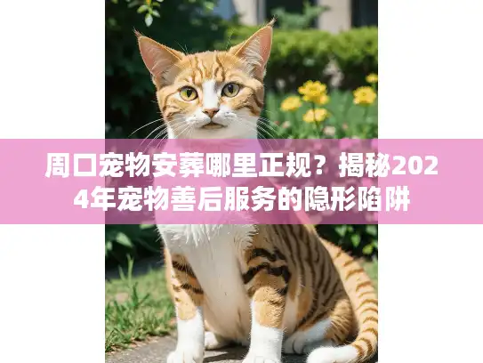 周口宠物安葬哪里正规？揭秘2024年宠物善后服务的隐形陷阱