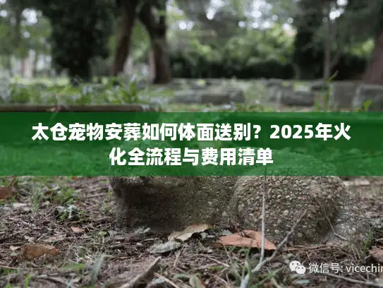 太仓宠物安葬如何体面送别？2025年火化全流程与费用清单