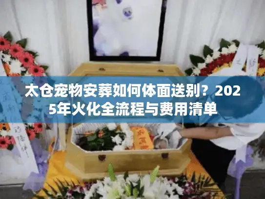 太仓宠物安葬如何体面送别？2025年火化全流程与费用清单