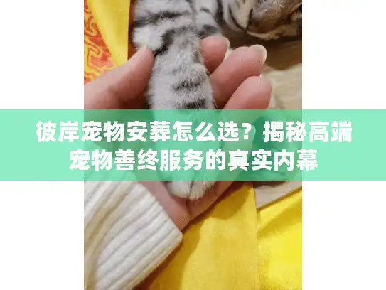 彼岸宠物安葬怎么选？揭秘高端宠物善终服务的真实内幕