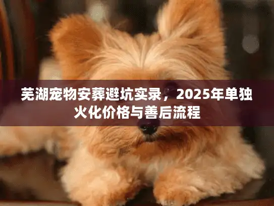 芜湖宠物安葬避坑实录，2025年单独火化价格与善后流程