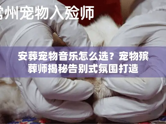 安葬宠物音乐怎么选？宠物殡葬师揭秘告别式氛围打造
