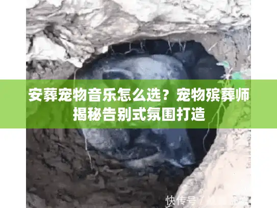 安葬宠物音乐怎么选？宠物殡葬师揭秘告别式氛围打造