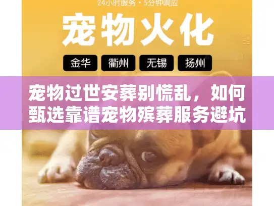 宠物过世安葬别慌乱，如何甄选靠谱宠物殡葬服务避坑？