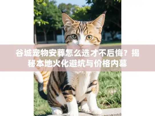 谷城宠物安葬怎么选才不后悔？揭秘本地火化避坑与价格内幕