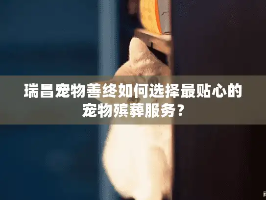 瑞昌宠物善终如何选择最贴心的宠物殡葬服务？