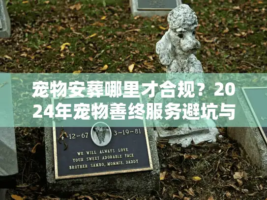 宠物安葬哪里才合规？2024年宠物善终服务避坑与选址实录
