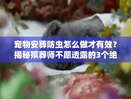 宠物安葬防虫怎么做才有效？揭秘殡葬师不愿透露的3个绝招