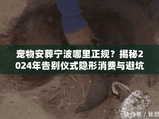 宠物安葬宁波哪里正规？揭秘2024年告别仪式隐形消费与避坑