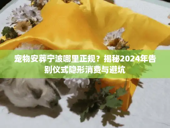宠物安葬宁波哪里正规？揭秘2024年告别仪式隐形消费与避坑