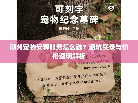 潮州宠物安葬服务怎么选？避坑实录与价格透明解析