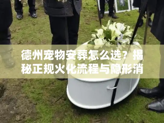 德州宠物安葬怎么选？揭秘正规火化流程与隐形消费
