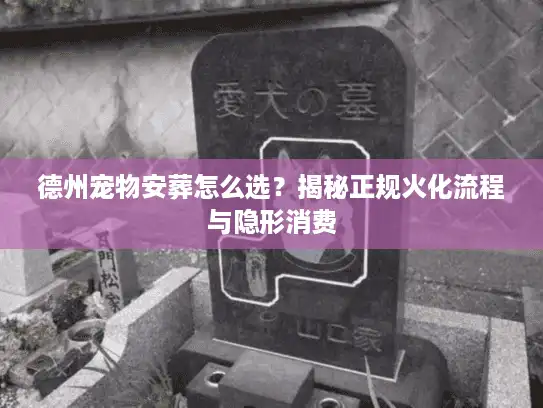 德州宠物安葬怎么选？揭秘正规火化流程与隐形消费