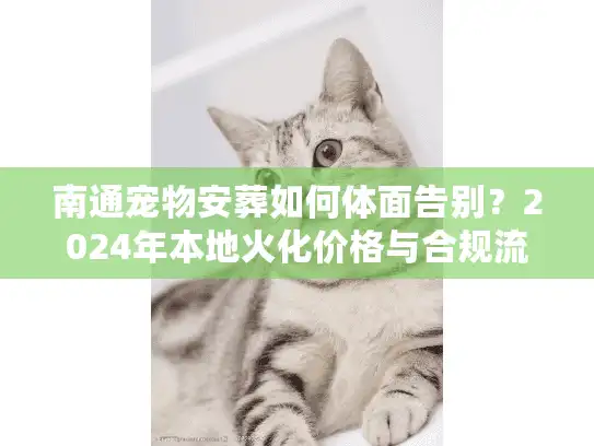 南通宠物安葬如何体面告别？2024年本地火化价格与合规流程揭秘