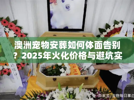 澳洲宠物安葬如何体面告别？2025年火化价格与避坑实录