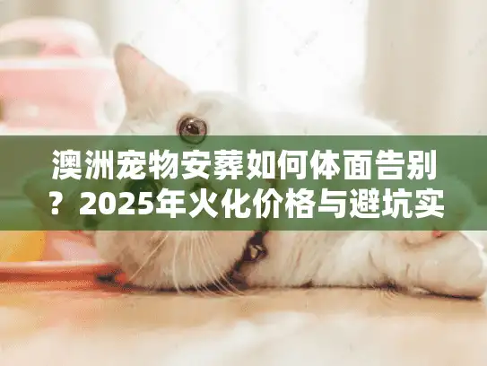 澳洲宠物安葬如何体面告别？2025年火化价格与避坑实录