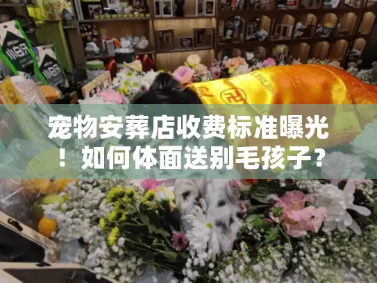 宠物安葬店收费标准曝光！如何体面送别毛孩子？