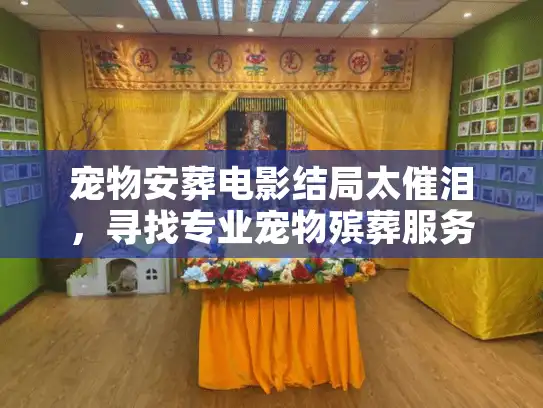 宠物安葬电影结局太催泪，寻找专业宠物殡葬服务该避哪些坑？