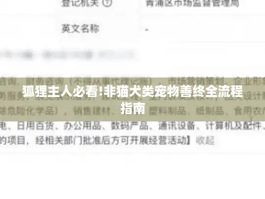 狐狸主人必看!非猫犬类宠物善终全流程指南