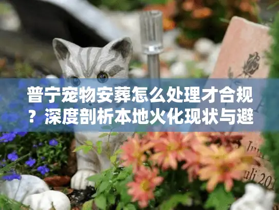普宁宠物安葬怎么处理才合规？深度剖析本地火化现状与避坑