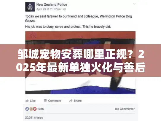 邹城宠物安葬哪里正规？2025年最新单独火化与善后服务实测
