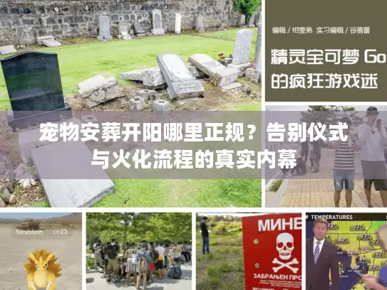 宠物安葬开阳哪里正规？告别仪式与火化流程的真实内幕